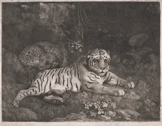 Un tigre et un léopard endormi