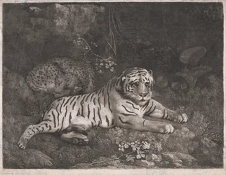 Un tigre et un léopard endormi