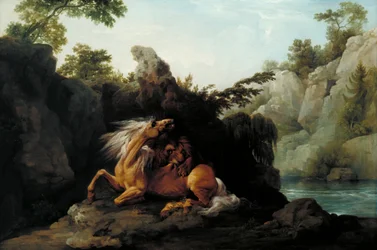 Cheval dévoré par un lion
