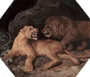 Lion et lionne