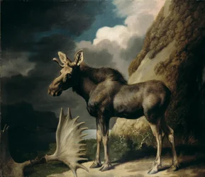 Élan, 1770