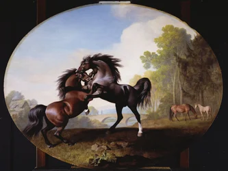 Étalons se battant, 1781