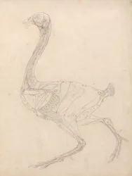 Étude d
