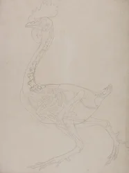 Étude d