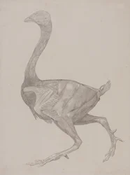 Étude d