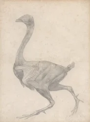 Étude d