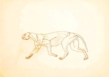 Étude d