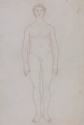 Étude de la figure humaine, vue antérieure (dessin au trait pour la table VI)