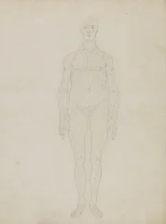 Étude de la figure humaine, vue antérieure, de 