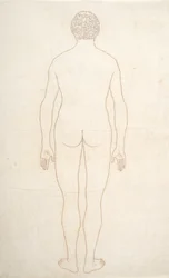 Étude de la figure humaine, vue postérieure, d