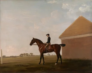 Turf, avec jockey à Newmarket