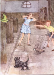 Le perroquet a commencé à dire des grossièretés, extrait de Pets Limited publié par Collins