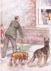 Les épagneuls dégoulinaient de boue et de bave, extrait de Pets Limited publié par Collins