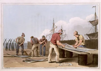 Grattoirs en os de baleine, gravés par Robert Havell l