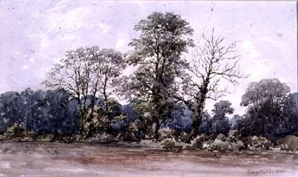 Arbres à Perry Bar près de Birmingham, 19e siècle