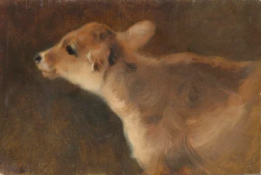 Un veau, 1879