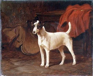 Un Jack Russell debout dans une sellerie