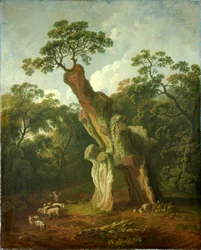 Vue du Chêne de Greendale dans le parc de Welbeck