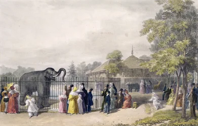 La Maison des Éléphants aux Jardins Zoologiques, Regent