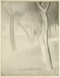 Arbres