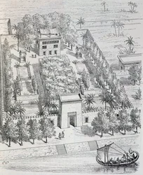 Vue d