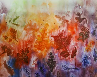 Lavage « Feuilles d