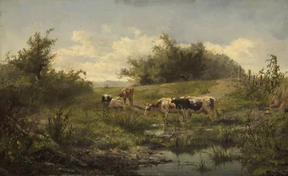Vaches à l