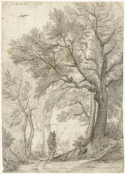 Bois de la Villa Madama près de Rome