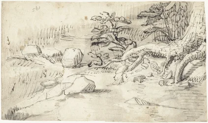Étude des racines d