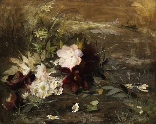 Dutch : Fleurs et marguerites de Seerosen sur le rivage
