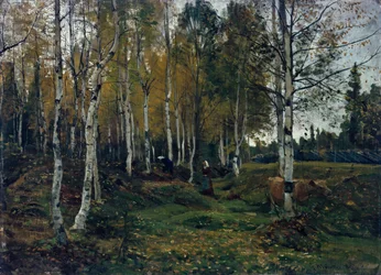 Forêt de bouleaux en automne