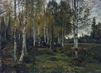 Forêt de bouleaux en automne