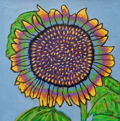 Tournesol joyeux II, 2024 (huile sur toile)