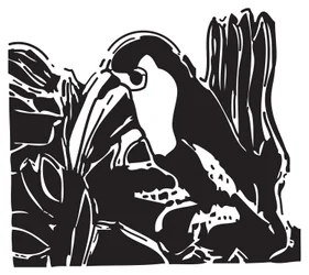 Toucan