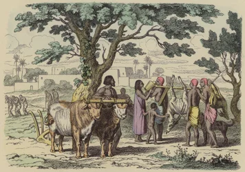 Agriculteur et chasseurs égyptiens anciens (gravure en couleur)