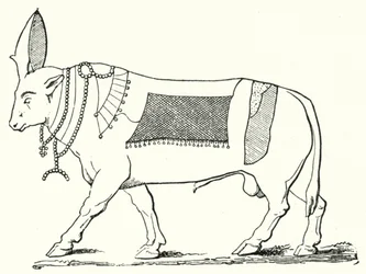 Apis, taureau sacré de l