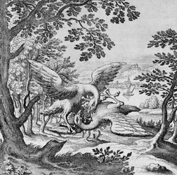 Oiseaux se battant du Musaeum Hermeticum