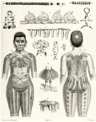 Diagramme montrant des bijoux, ornements et motifs de tatouage polynésiens, 1888