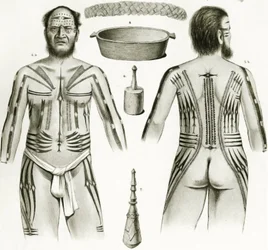 Diagramme montrant divers artefacts et motifs de tatouage polynésiens, 1888