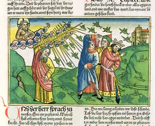 Exode 10:1-20 Les sept plaies d