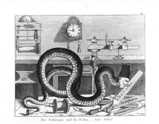 Fable du Serpent et des Mouches