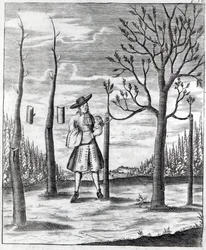 Jardinage et maladies des plantes, une illustration de 