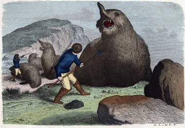 Chasseurs combattant des éléphants de mer. Dans « Wenn Jemand eine Reise thut, so kann er was erzählen », conte allemand de Franz Wiedemann