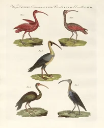 Types d