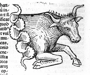 Le Taureau - dans Traité de Johannes Angeli De Magnisconnectionibue annorum revolutionibus ac eorum perfectionibus. Augsbourg, Erhard Ratdolt