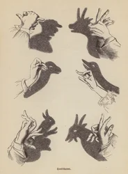 Faire des animaux en ombres chinoises avec les mains (gravure)