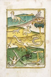 Monstres et serpents dans un paysage