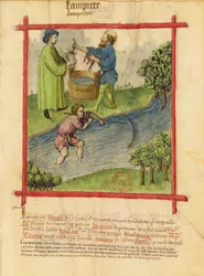Ms Lat 9333 f.82 Pêche aux anguilles, du Tacuinum Sanitatis