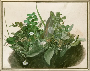 Petite touffe de gazon (aquarelle, tempera et pinceau sur parchemin monté sur carton)