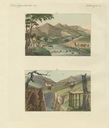 Ponts de corde sud-américains